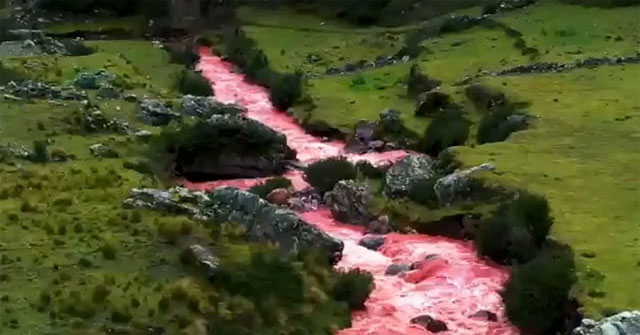 Marvel at the pink river in Peru
