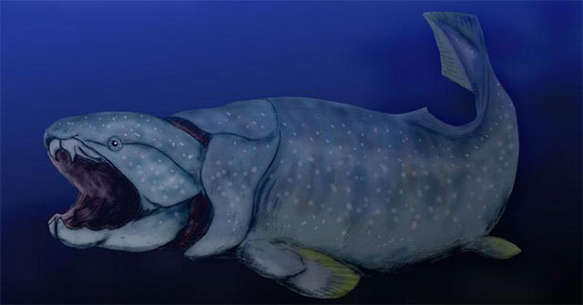 'Mermaid' hidden in ourselves: Bring fish to the teeth