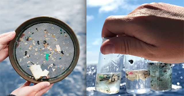 Microplastics - An incalculable danger to the ocean