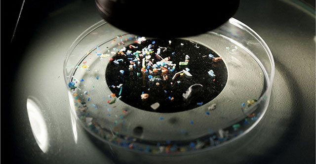 Microplastics found in more than 50% of clogged atherosclerotic plaques