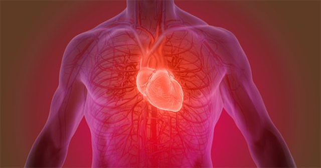 Miracle glue can 'patch' damaged tissue for people with heart attacks