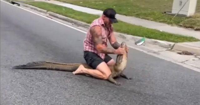 MMA wrestler uses his bare hands to catch a crocodile