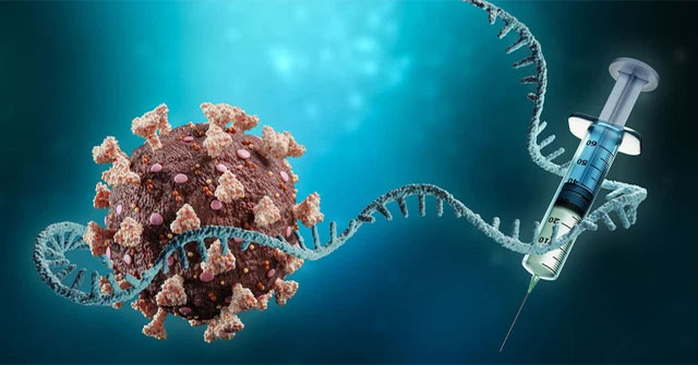 mRNA technology could help treat heart attacks