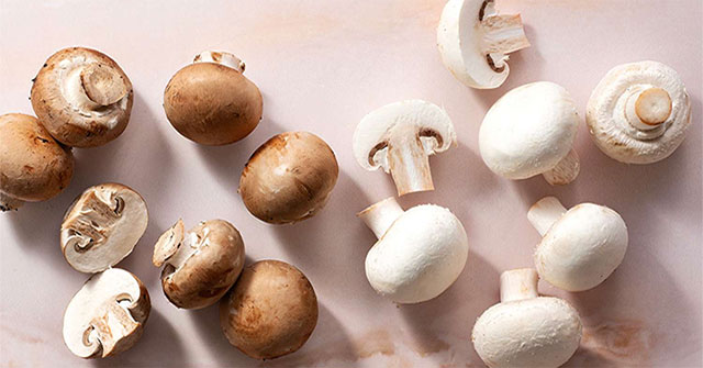 Mushrooms - The silent 'architects' of nature