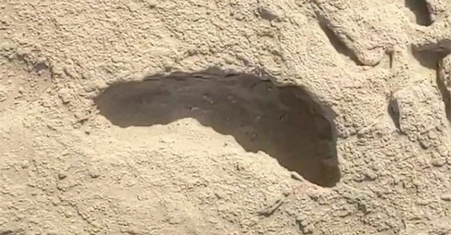 Mysterious 1.5 million year old footprints reveal surprise