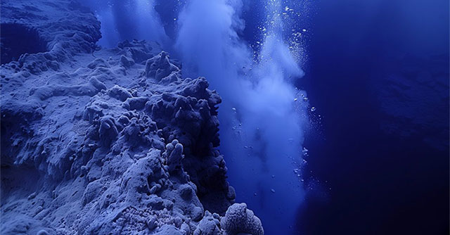 Mysterious 'life-like' creature discovered at the bottom of the Pacific Ocean