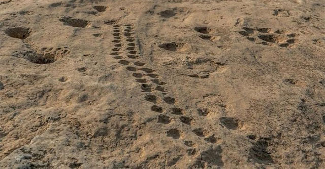 Mysterious Parallel Dents Discovered in Qatar
