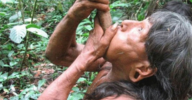 Mysterious tribe in Africa - where people eat mosquitoes and are completely dumb