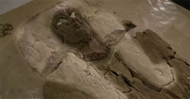 Mystery of the mummy of the woman mistaken for an Egyptian pharaoh