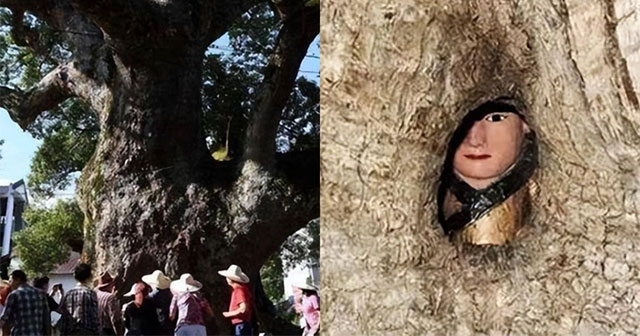 Mystery of 'Tree Hugging Buddha Statue' in China: Experts Decode from Story Retold by Village Elder