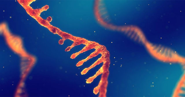 NASA Discovers an RNA Strain That Could Redefine the Origin Story of Life