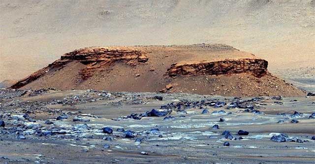 NASA found alien remains swimming in water?