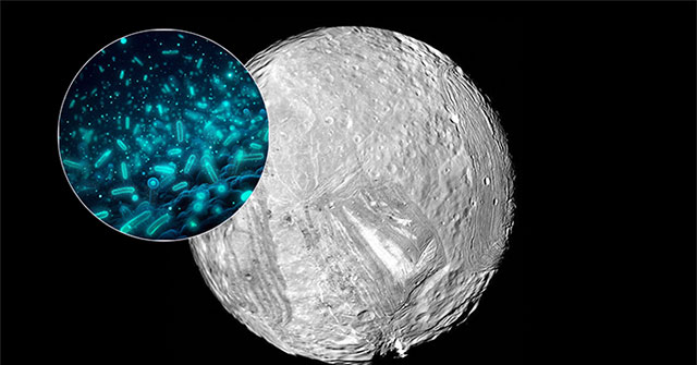 NASA spacecraft finds new world that could contain water and life