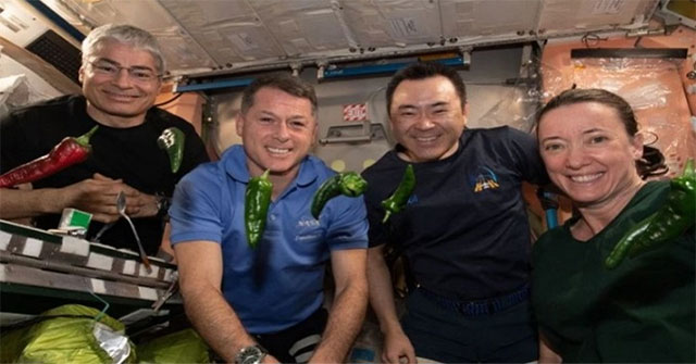 NASA's space chili sets two new records