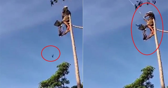 Netizens' eyes widened when they watched the video of a man showing off his talent for 'fishing' in the sky