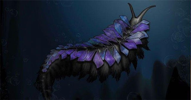 New 500 million year old species is as terrifying as 'alien creatures'