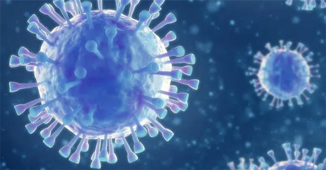 New corona virus detected in Sweden, 'don't know if it is dangerous to people'