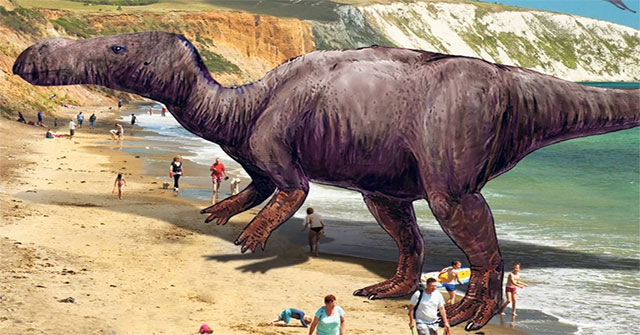 New dinosaur species discovered from the Cretaceous period
