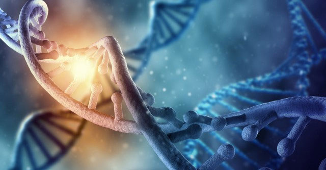 New discoveries about human DNA.