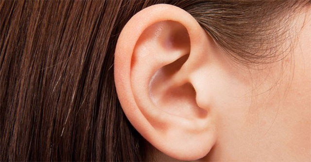 New discovery about the middle ear of humans evolved from fish gills