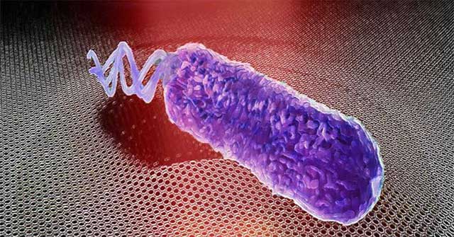New discovery: Bacteria emit sound, only mute when encountering antibiotics
