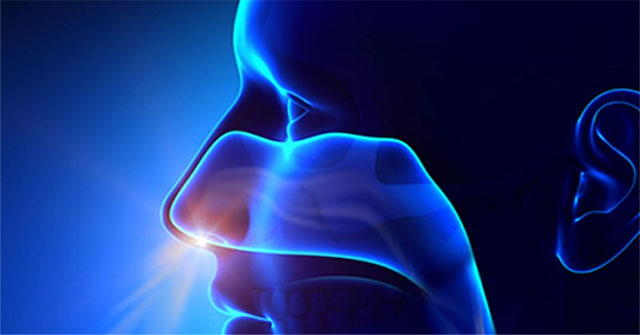 New discovery on the cause of loss of smell because of Covid-19