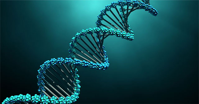 New DNA technology makes us 'redraw' the evolutionary tree