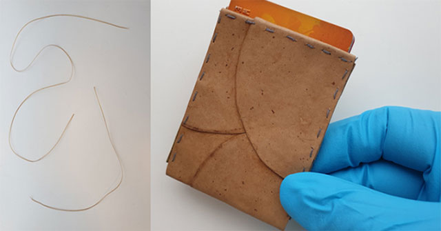 New fake leather made from mushrooms growing on old bread