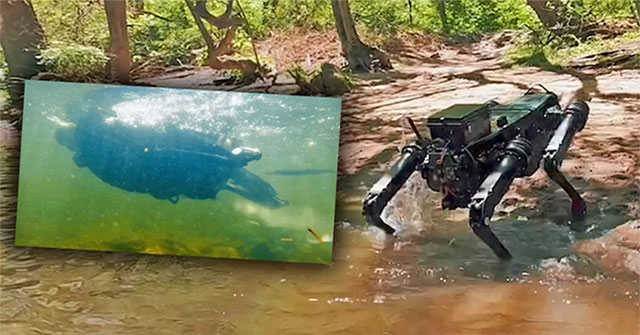 New generation robot dog can swim under water