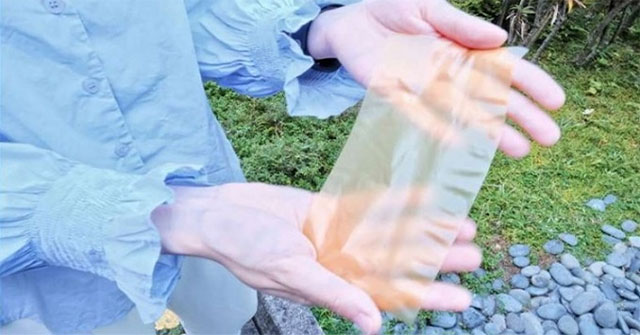 New paper made from pollen can be printed and erased many times