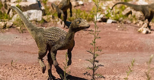 New research reveals the cause of the mass death of dinosaurs