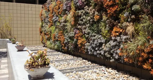 New research shows: 'Living wall' reduces heat loss from buildings by 30%