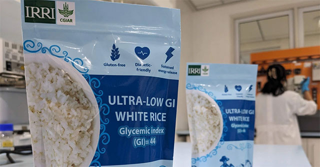 New rice variety that helps reduce diabetes will be grown commercially in 2025