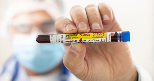 New technology helps to quickly diagnose dengue fever