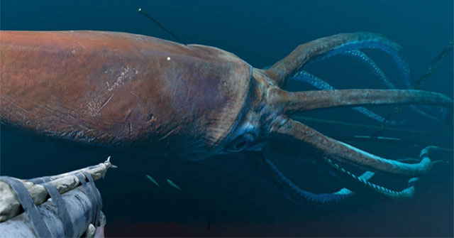 Norway's 4km cable disappeared without a trace, is the culprit giant squid?
