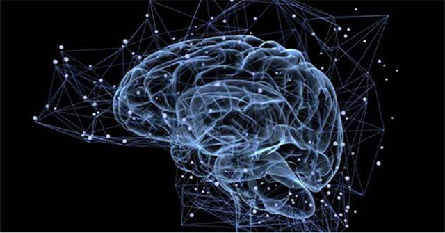 Not only using 10% of the brain, humans are using this part with how much capacity?