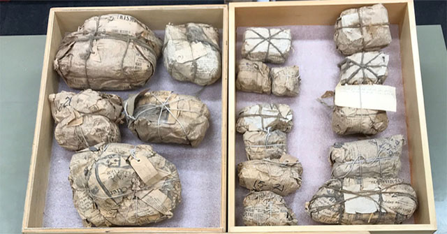 Open the old newspaper package, shocked by the extremely rare 70-million-year-old 'treasure'