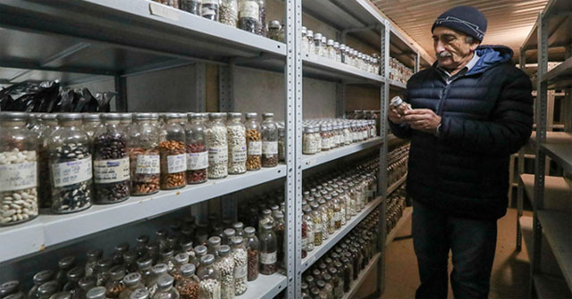 Permafrost seed bank