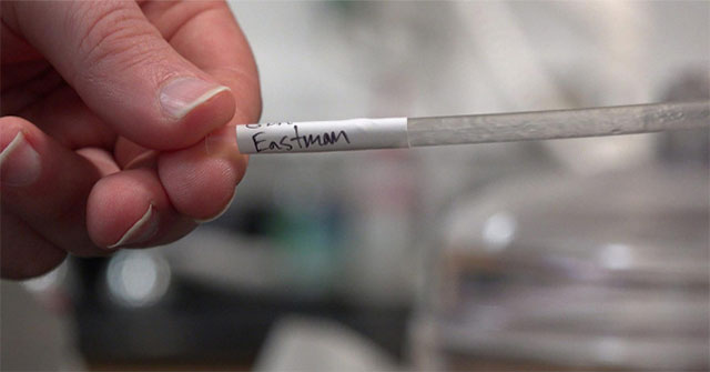Plastic decomposes in seawater faster than paper