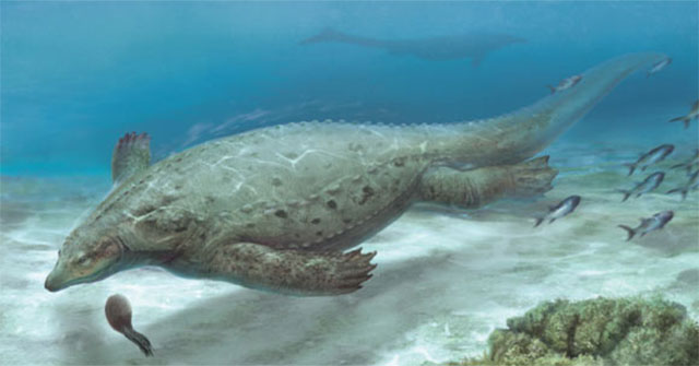 Quarrying, revealing monsters never seen before in the world in China