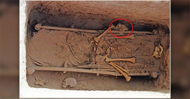Rare leather scale armor discovered in Chinese tombs