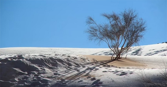 Rare snow covers the Sahara desert