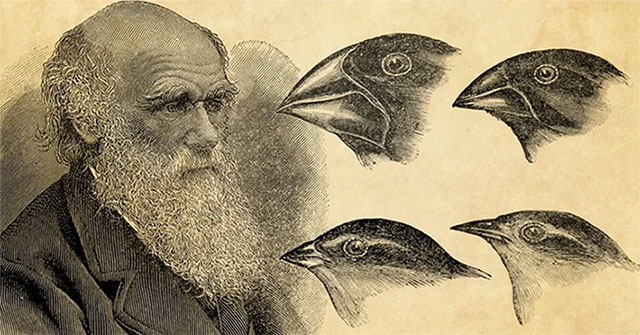 Research points to 'holes' in Darwin's theory of evolution