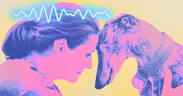 Research shows that dogs help people increase their ability to concentrate