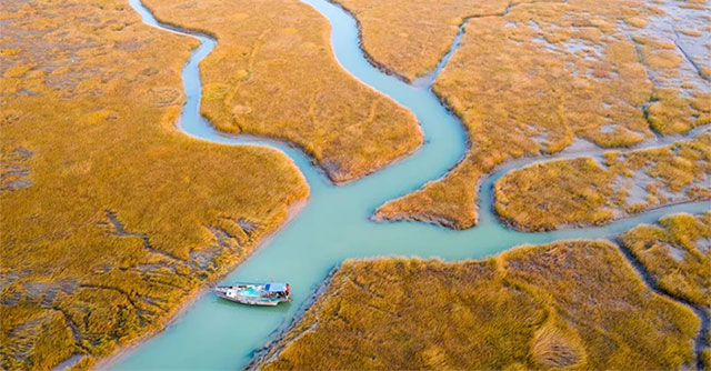 Research shows that one-fifth of the world's estuaries have disappeared in the past 35 years