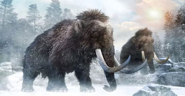 Researcher wants to release thousands of mammoths in the Arctic
