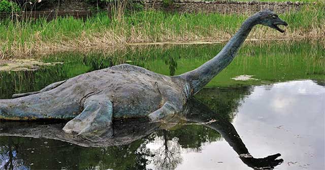 'Resurrecting' ancient creatures into robots