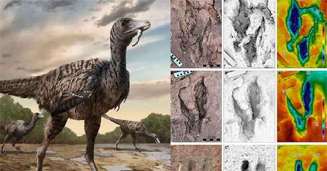 Revealing a 5m tall dinosaur hybrid monster in China