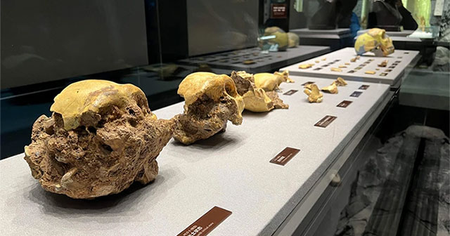 Revealing important secrets about human evolution