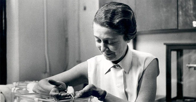 Rita Levi-Montalcini - Someone who made many contributions to Italian science